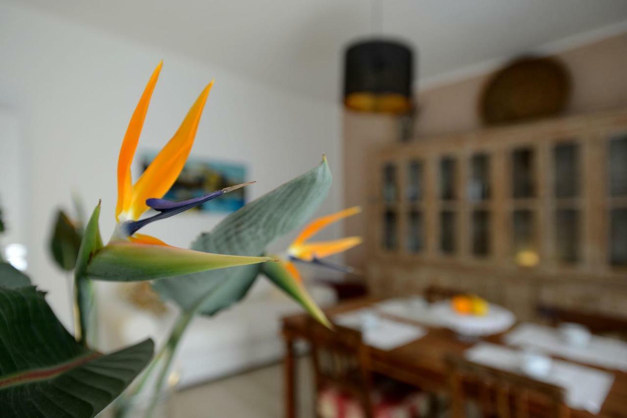 B&B Alghero 82 Eksteriør bilde